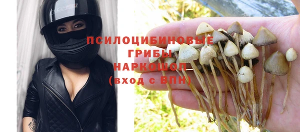прущая мука Дмитров