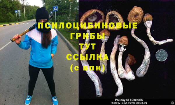 прущая мука Дмитров