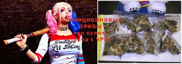 гашик Ступино