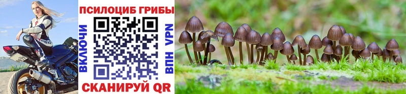Купить где  Реж  Псилоцибиновые грибы мухоморы 