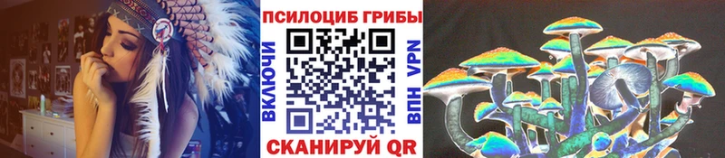 Псилоцибиновые грибы Cubensis Реж